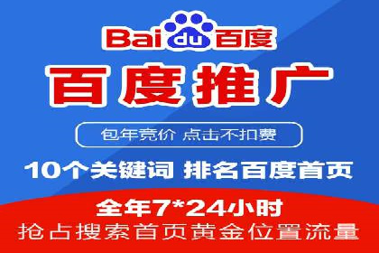 竞价推广实战：案例分析行业领军企业的成功之道
